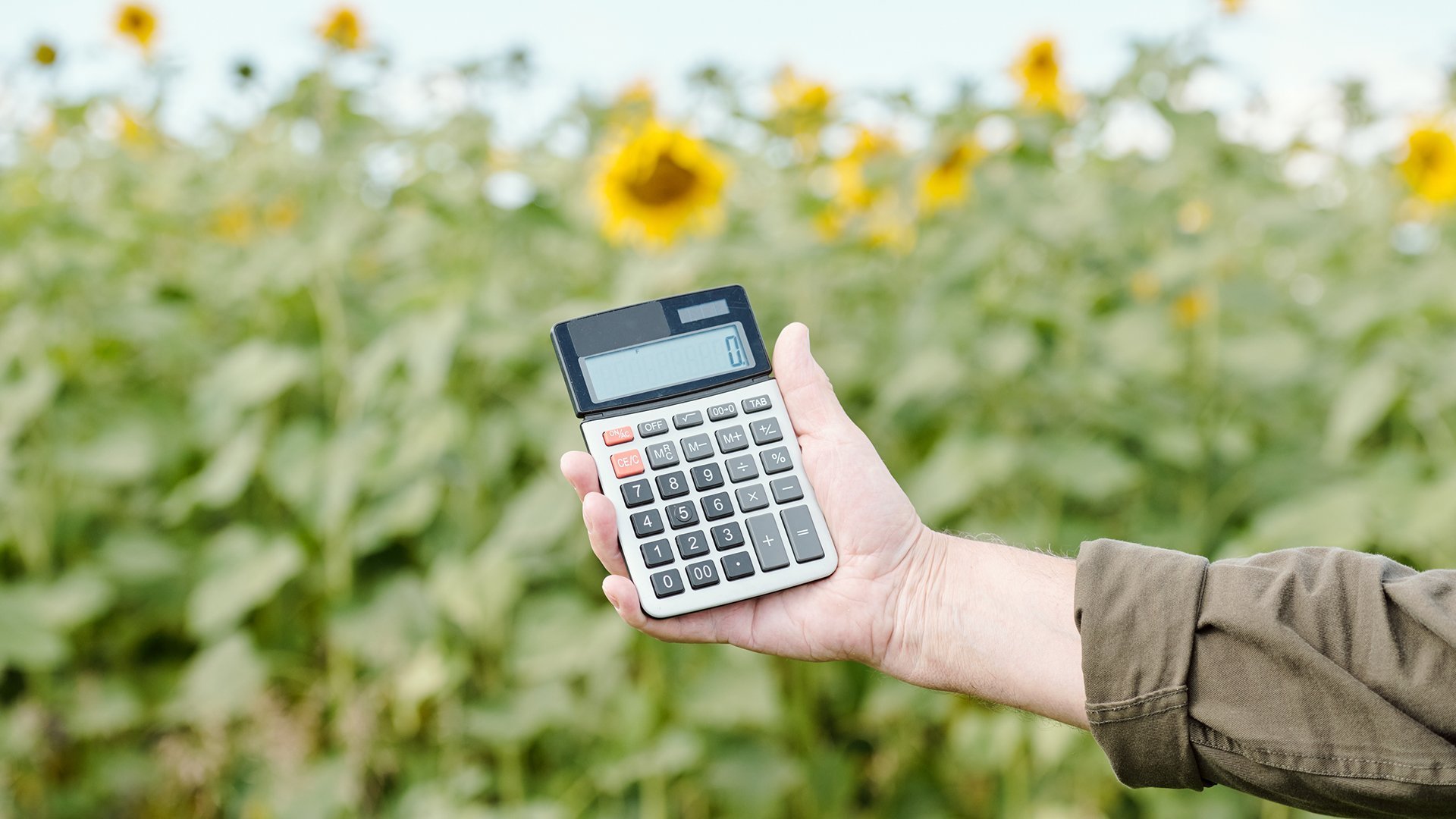 Калькулятор лизинга