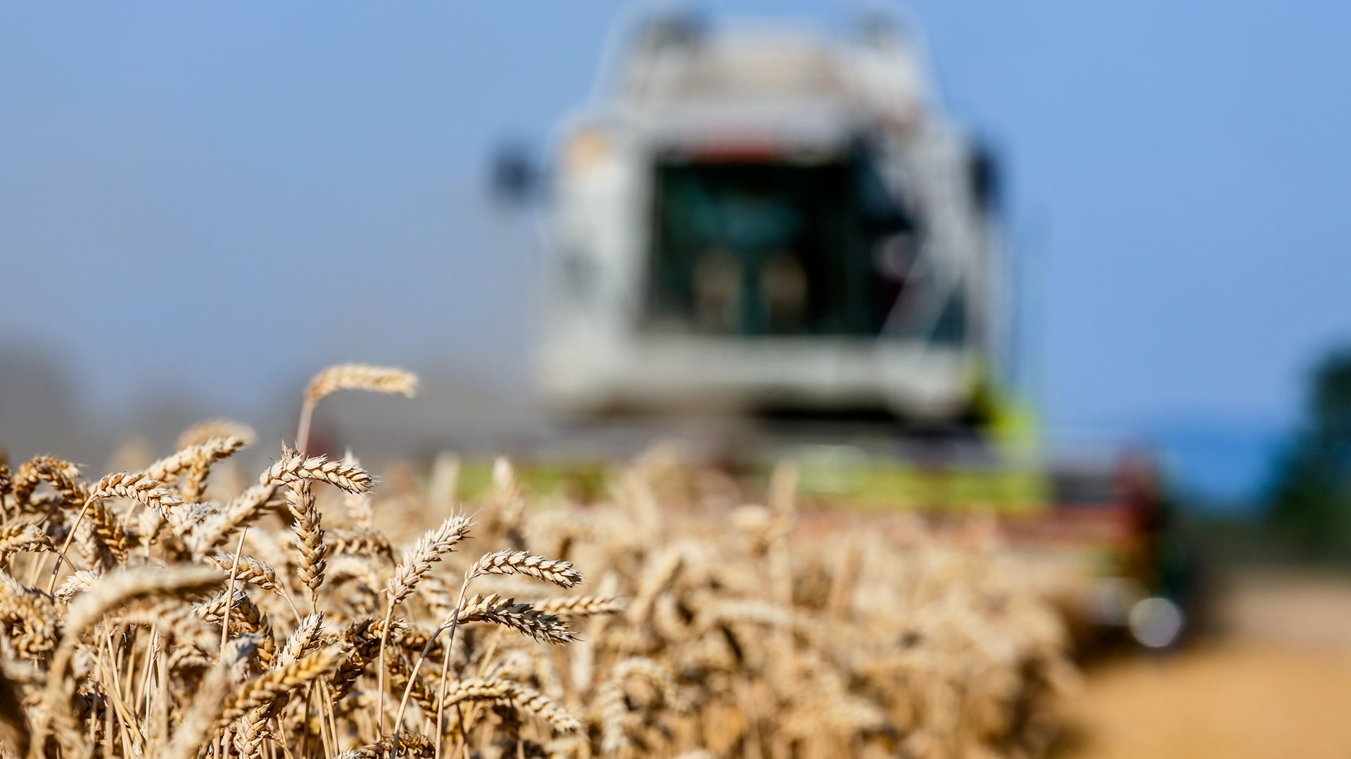 Льготные кредиты