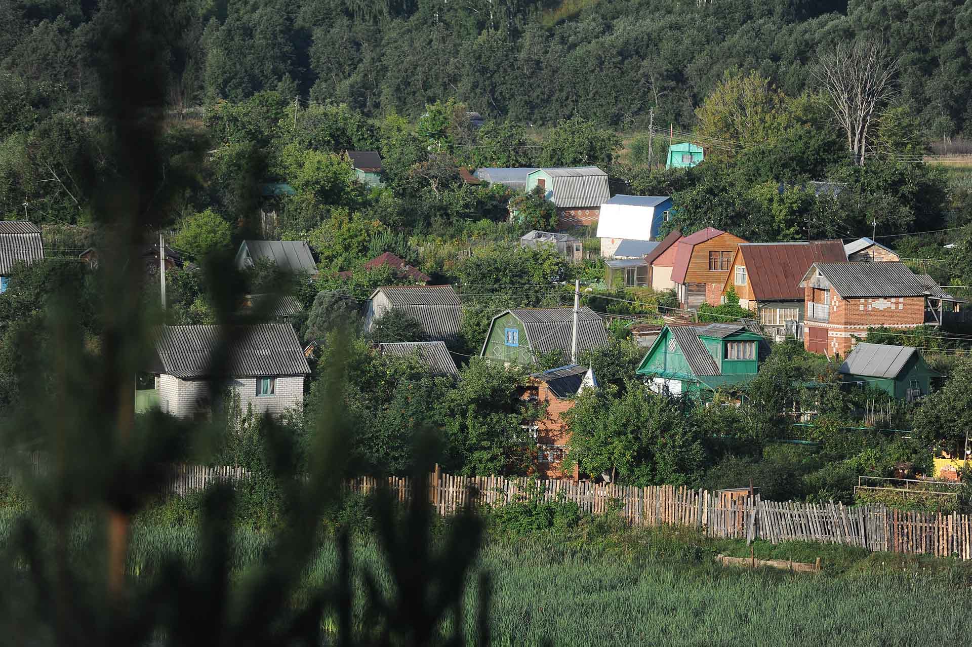 Владимир Смирнов/ТАСС TASS_4872680.jpg