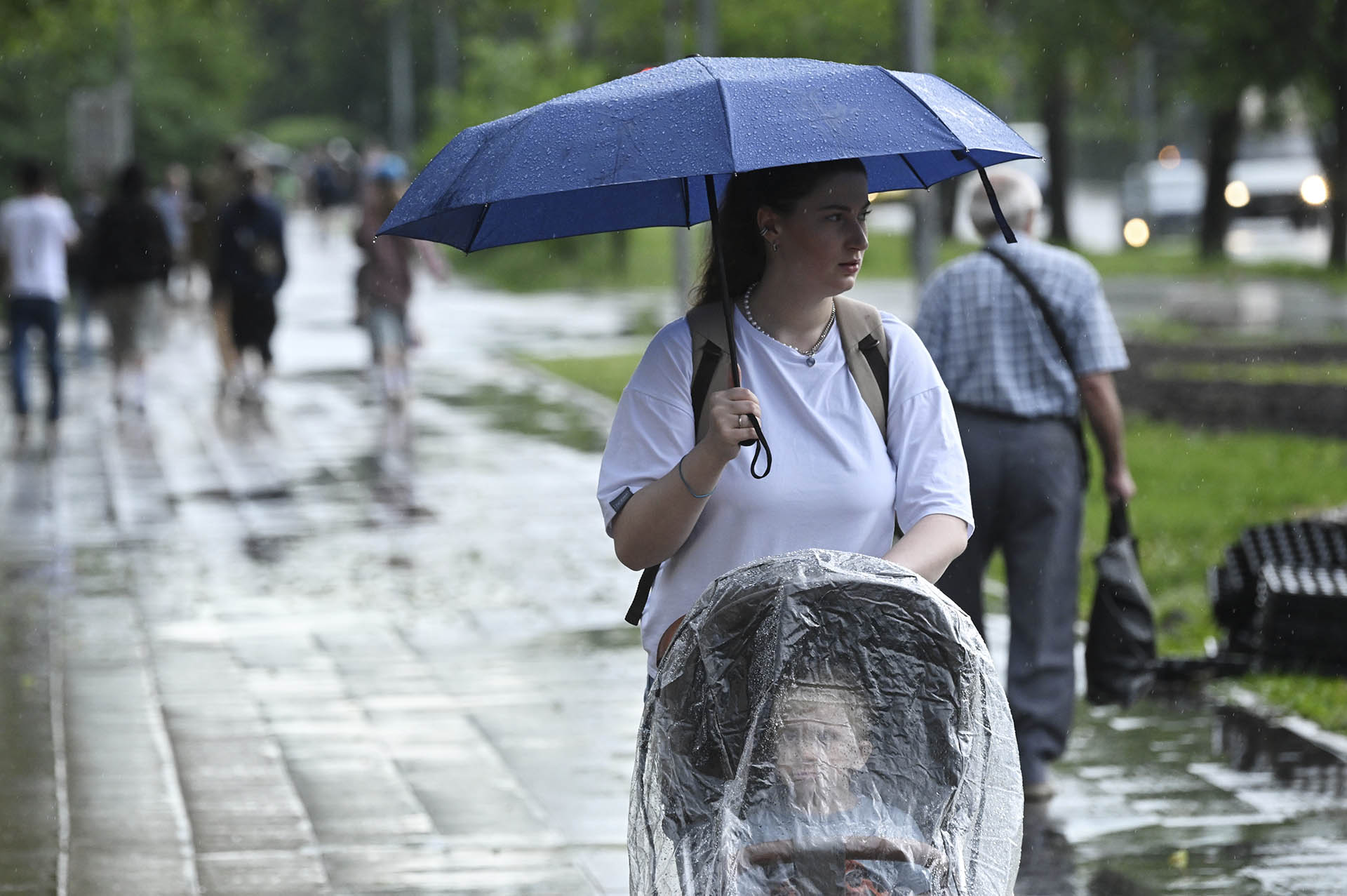 RIA_8697404.HR.jpg