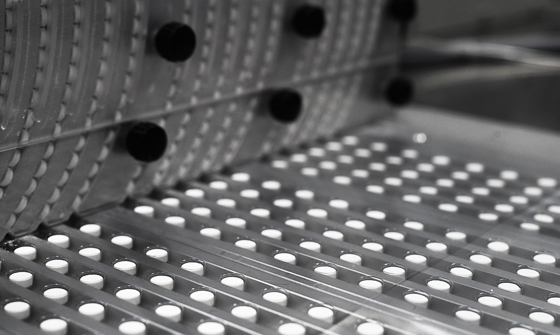 Владимир Астапкович/РИА Новости RIA_8401421.HR.jpg