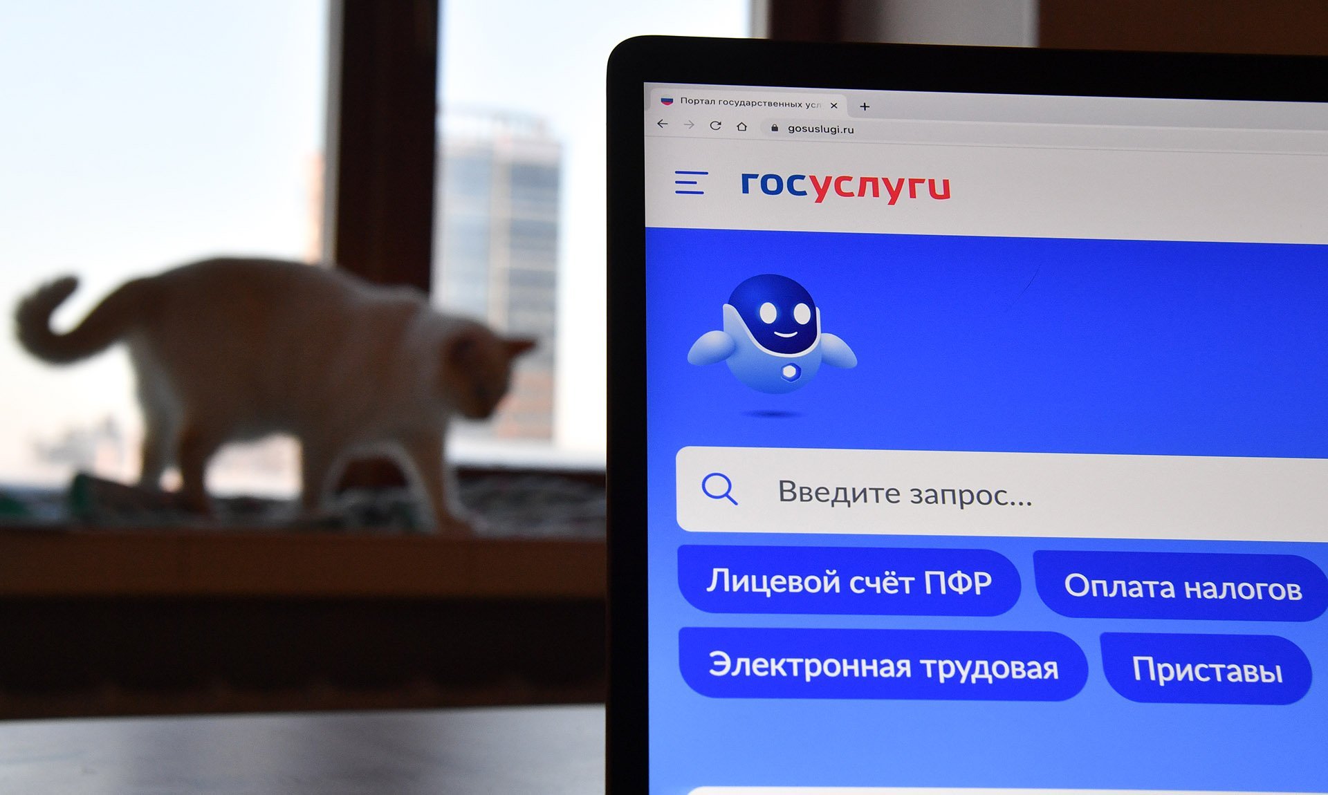 RIA_8322544.HR.jpg