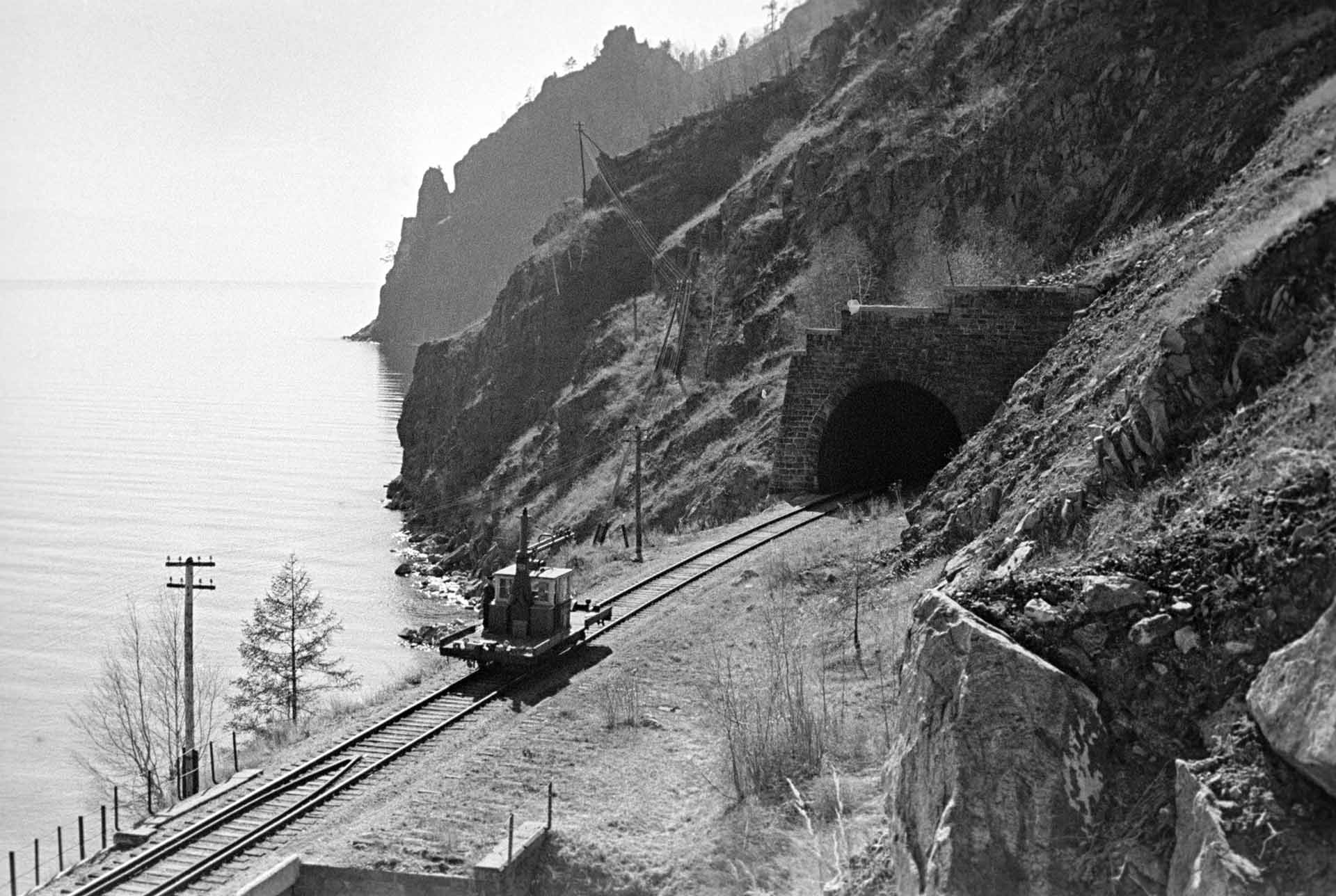 TASS_6518384.jpg